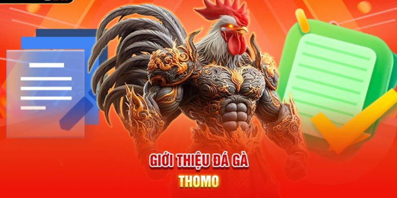 gioi-thieu-sanh-cuoc-da-ga-thomo-online